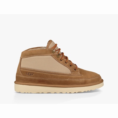 Botas UGG Highland Field Homem Marrom | PT-GMYAN